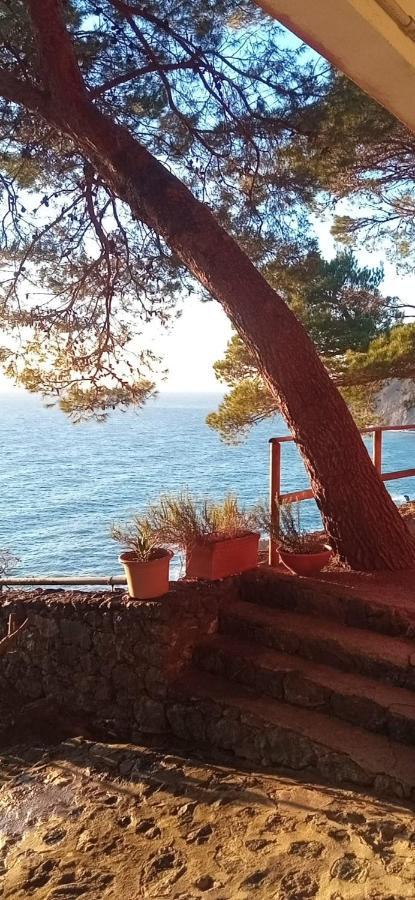 דירות פראמורה Cinqueterre National Park Sea View מראה חיצוני תמונה